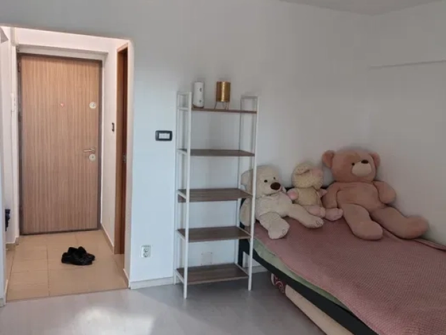 Apartament 1 camere - Central