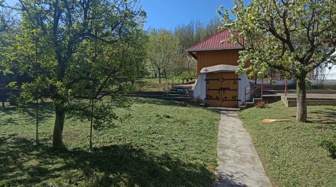 Oferta Tomesti casa 90 mp, 3 camere, de vanzare,  dupa Peny Tomesti imagine 2