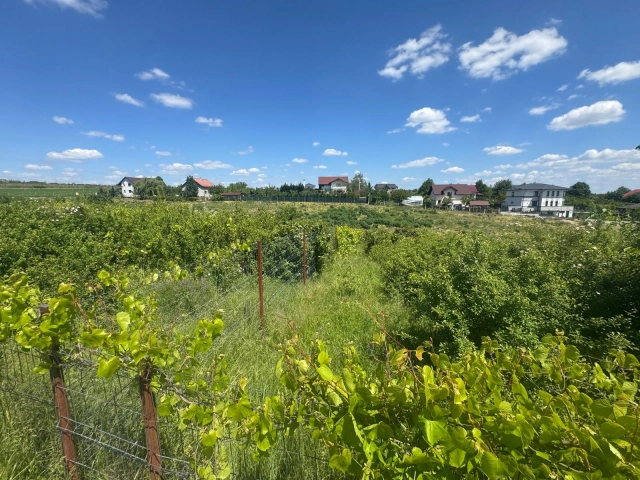 Apartament 0 camere - Copou