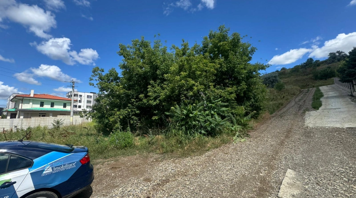 Oferta Teren de vanzare Bucium dupa Plopii fara sot 772 mp  imagine 5