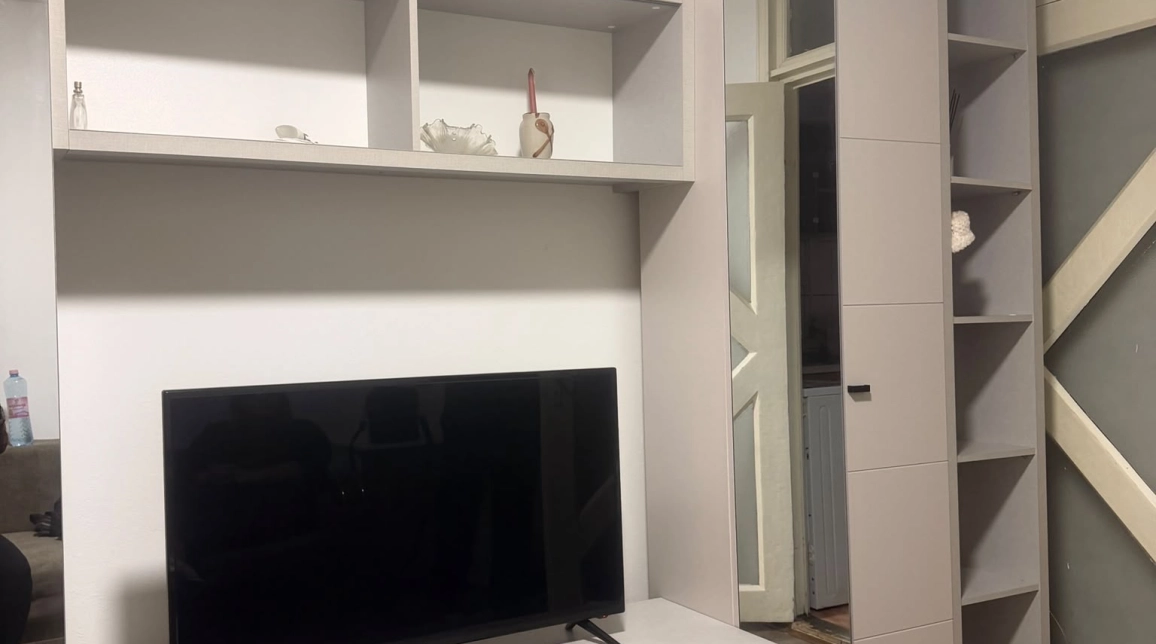 Oferta De inchiriat apartament, 1 camera, decomandat, 25 mp, Alexandru cel Bun,  PIATA VOIEVOZILOR imagine 3