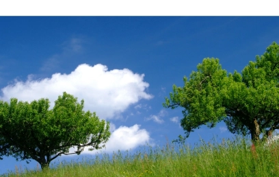 Oferta Promovata Imobiliare Iasi