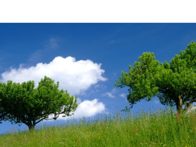 Teren  Valea Adanca mai jos de 5 drumuri 445mp  161865