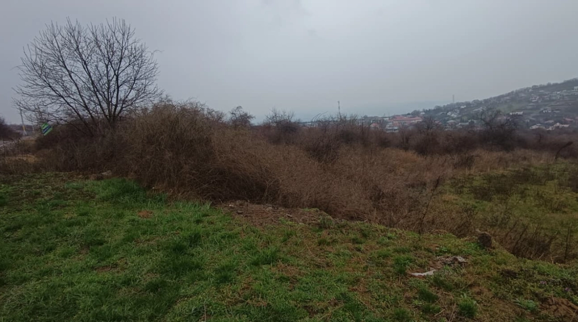 Oferta Teren de vanzare Tomesti  inainte de  primaria Tomesti 11000 mp  imagine 5