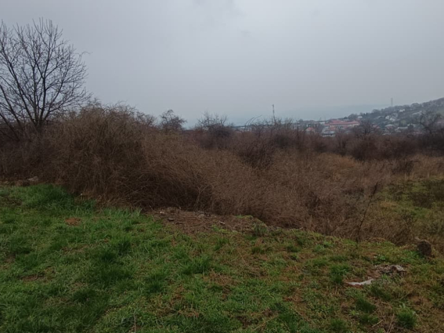 Teren  Tomesti  inainte de  primaria Tomesti 11000mp  161403