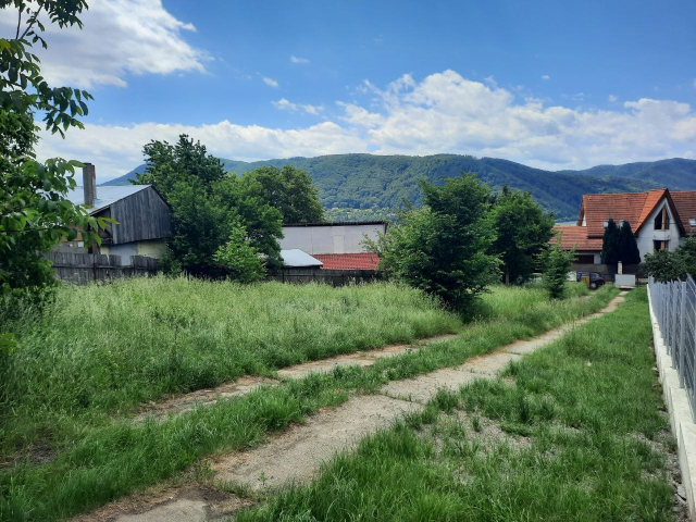 Teren  Valea Vie Str Dimitre Cantemir 1000mp  147432