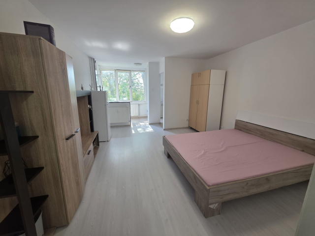 De inchiriat apartament, 1 camera,  open-space,  34 mp, Tatarasi,  (Flora) 162647