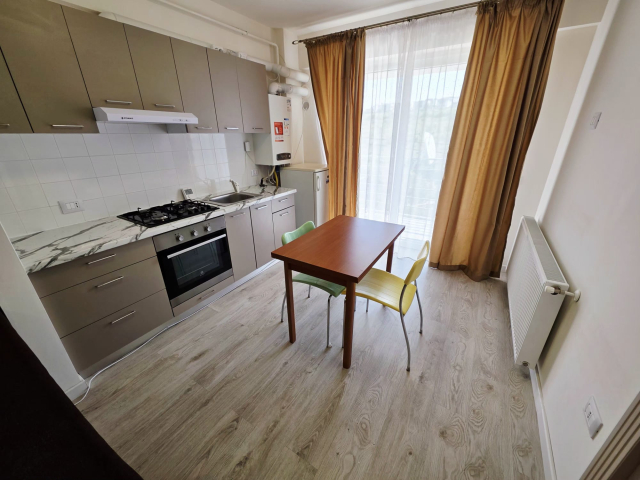 Apartament, 2 camere  open-space,  42 mp, Bucium, de inchiriat,  (Visan) 163011