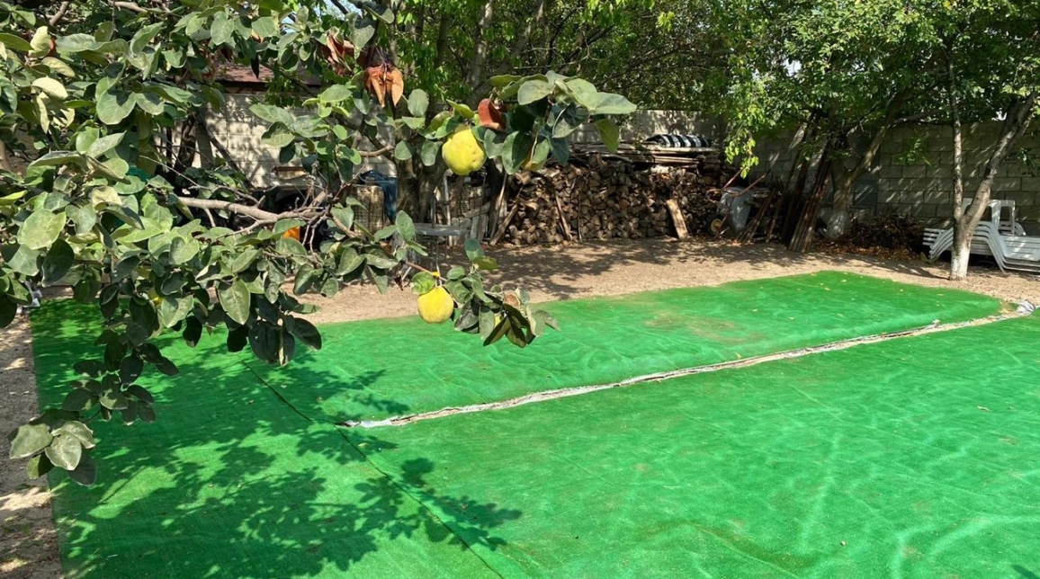 Oferta Valea Lupului casa 203 mp, 4 camere, de vanzare,  Popas Pacurari imagine 21