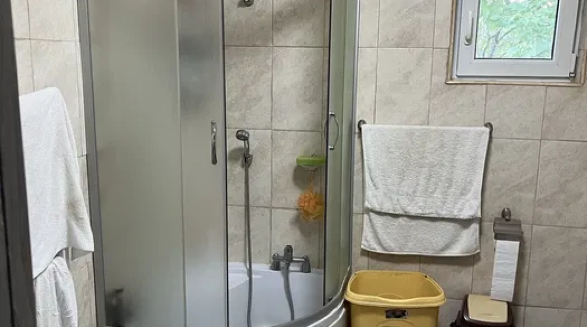 Oferta De vanzare casa, 4 camere, 119 mp, Alexandru cel bun (Jud. Neamt),  Viisoara imagine 6