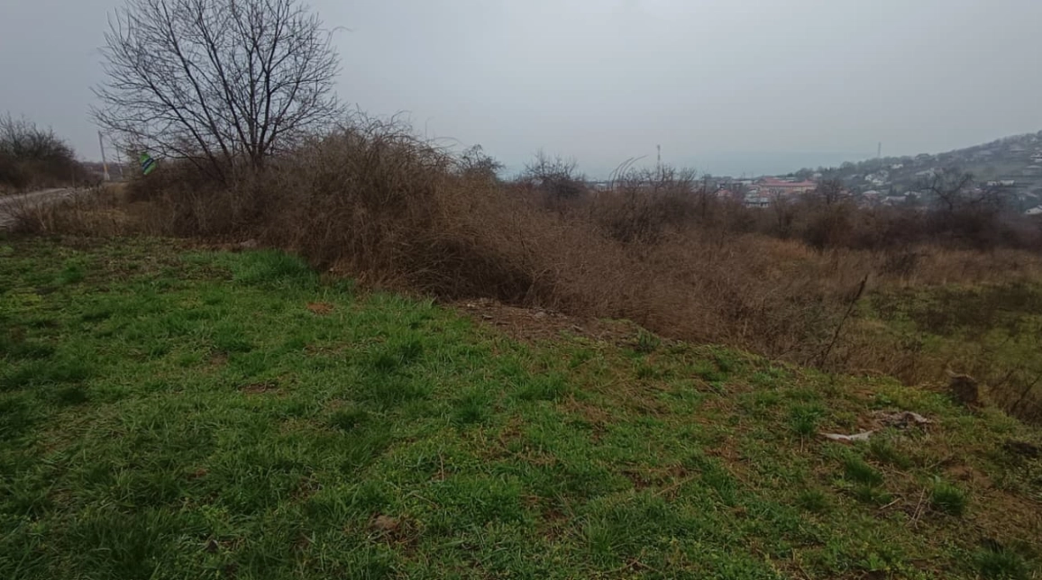 Oferta Teren de vanzare Tomesti  inainte de  primaria Tomesti 11000 mp  imagine 4