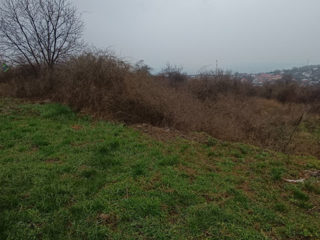 Teren  Tomesti  inainte de  primaria Tomesti 11000mp  161403