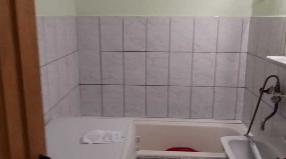 Oferta De inchiriat garsoniera, 33 mp, Tatarasi,  Kaufland imagine 4