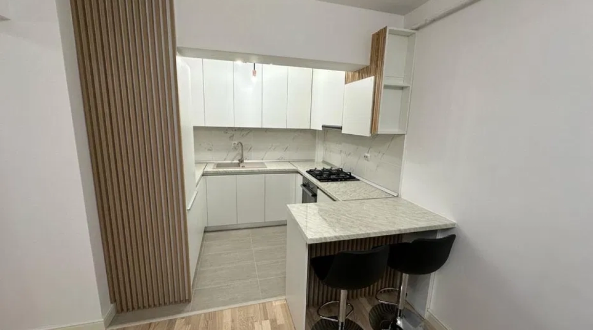 Oferta De inchiriat apartament, 2 camere, open-space, 55 mp, Tatarasi,  Metalurgiei imagine 3