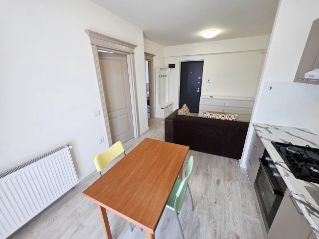 Apartament, 2 camere  open-space,  42 mp, Bucium, de inchiriat,  (Visan) 163011