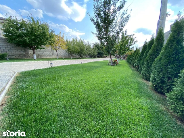 Apartament 4 camere - Valea Lupului