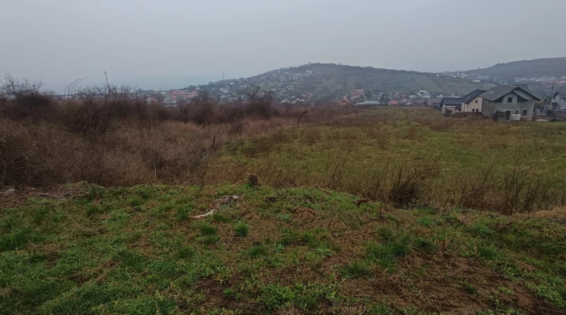 Oferta Teren de vanzare Tomesti  inainte de  primaria Tomesti 11000 mp  imagine 3