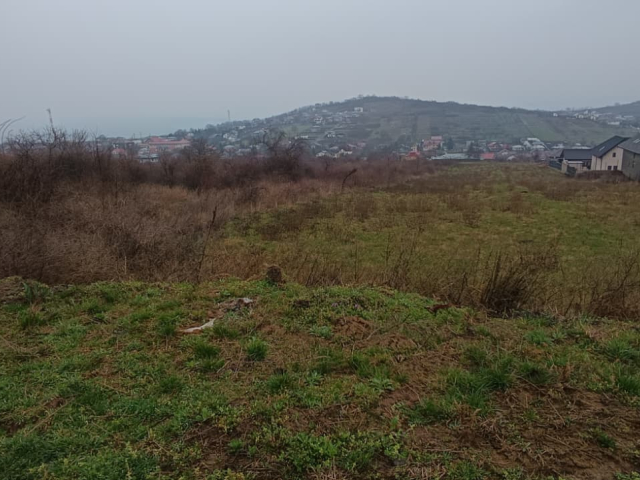 Teren  Tomesti  inainte de  primaria Tomesti 11000mp  161403