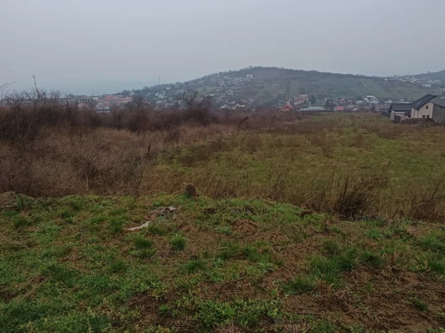 Apartament 0 camere - Tomesti