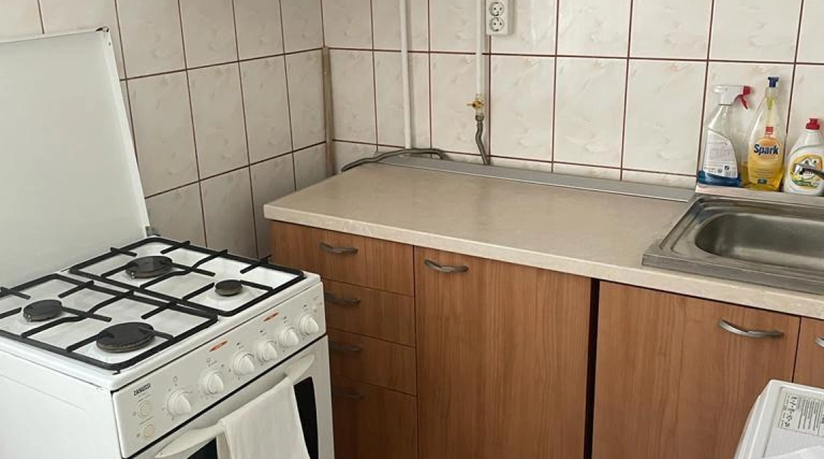 Oferta De inchiriat apartament, 1 camera, decomandat, 25 mp, Alexandru cel Bun,  PIATA VOIEVOZILOR imagine 8