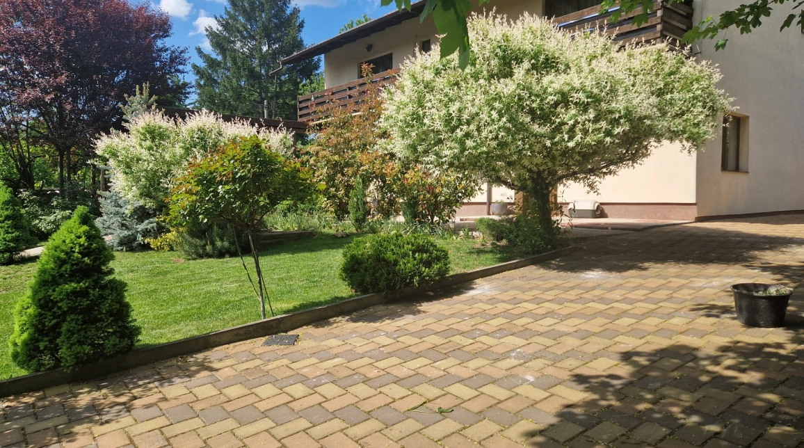 Oferta 6 camere, 240 mp, de vanzare casa in zona Tatarasi,  Moara de Vant  imagine 5