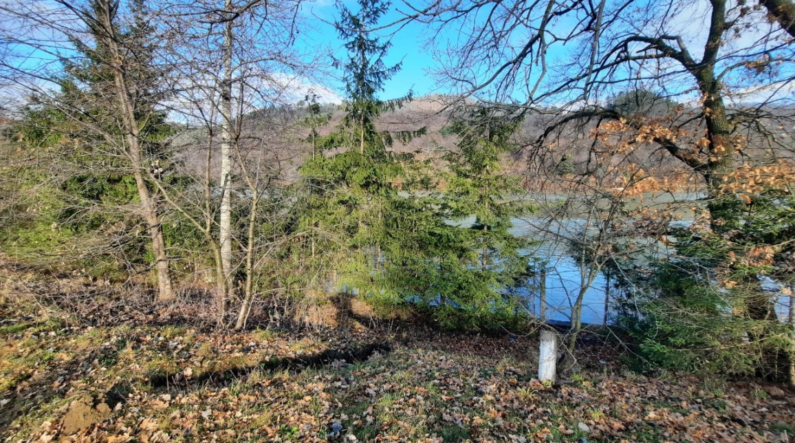 Oferta Teren de vanzare Alexandru cel bun (Jud. Neamt) Vaduri / Kober / Lac 2961 mp  imagine 3