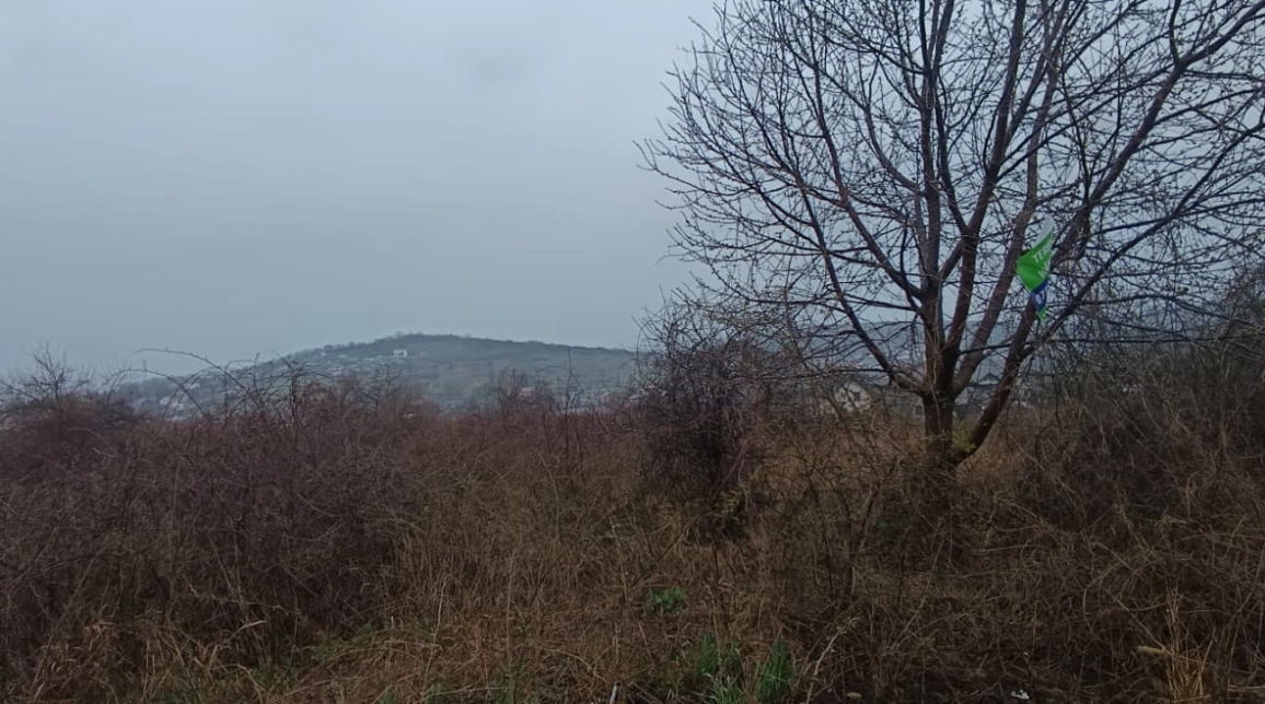 Oferta Teren de vanzare Tomesti  inainte de  primaria Tomesti 11000 mp  imagine 2