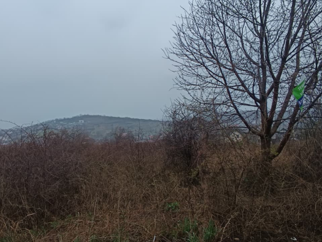 Teren  Tomesti  inainte de  primaria Tomesti 11000mp  161403