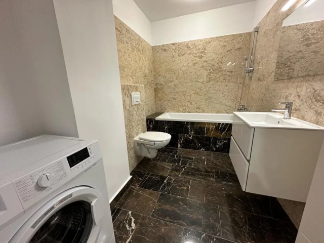De inchiriat apartament, 2 camere,  open-space,  55 mp, Tatarasi,  (Metalurgiei) 162912