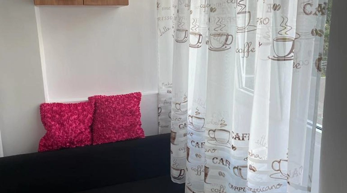Oferta De inchiriat apartament, 1 camera, decomandat, 25 mp, Alexandru cel Bun,  PIATA VOIEVOZILOR imagine 11