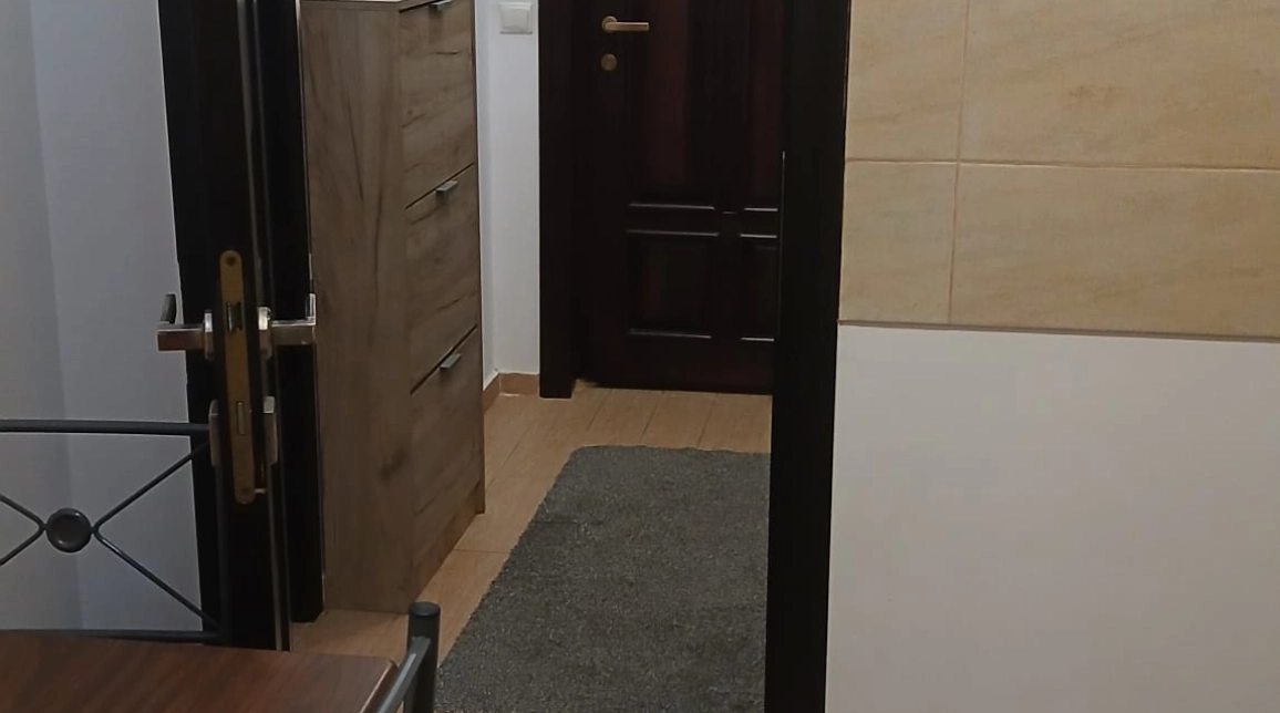 Oferta De vanzare apartament, 1 camera, decomandat, 30 mp, Galata,  Panoramic imagine 3