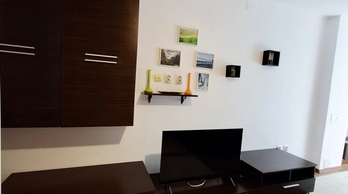 Oferta Tatarasi garsoniera 30 mp, de vanzare,  Vasile Lupu imagine 3