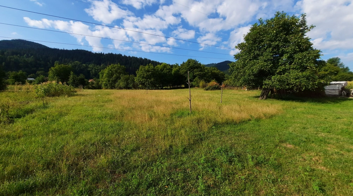 Oferta Teren de vanzare Alexandru cel bun (Jud. Neamt) Vadurele 2991 mp  imagine 3