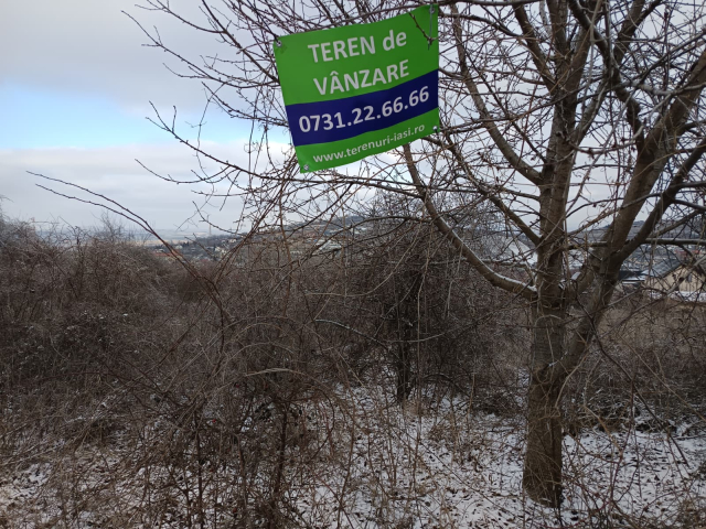 Teren  Tomesti  inainte de  primaria Tomesti 11000mp  161403