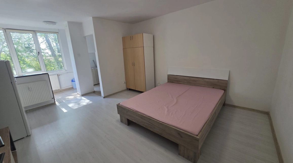 Oferta De inchiriat apartament, 1 camera, open-space, 34 mp, Tatarasi,  Flora imagine 1