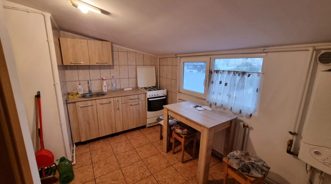 Oferta De vanzare apartament, 2 camere, decomandat, 44 mp, Nicolina,  Piata CUG imagine 5