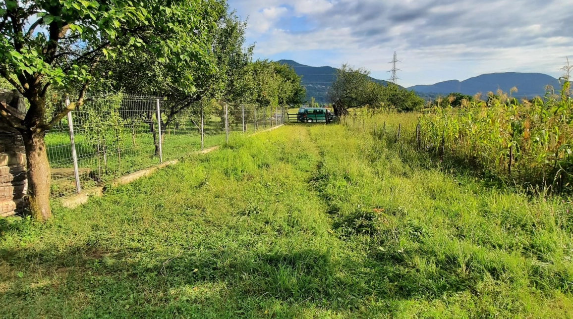 Oferta Teren de vanzare Alexandru cel bun (Jud. Neamt) Vadurele 2991 mp  imagine 4