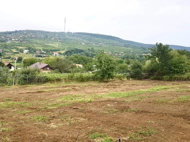 Apartament 0 camere - Barnova