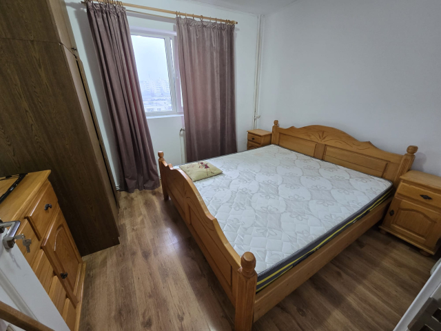 Apartament, 2 camere  decomandat,  50 mp, Alexandru cel Bun, de inchiriat,  (Profi) 160771