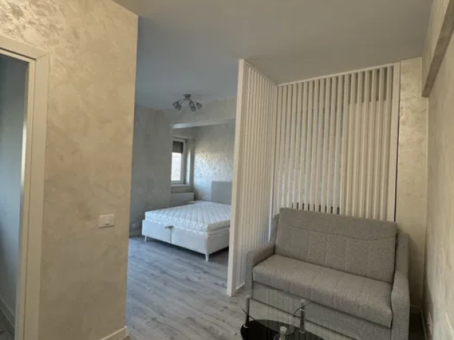 1 camera,  semidecomandat,  42 mp, de inchiriat apartament in zona Frumoasa,  (Manta Rosie) 161533