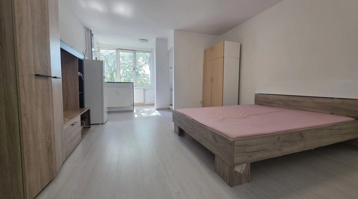 Oferta De inchiriat apartament, 1 camera, open-space, 34 mp, Tatarasi,  Flora imagine 5
