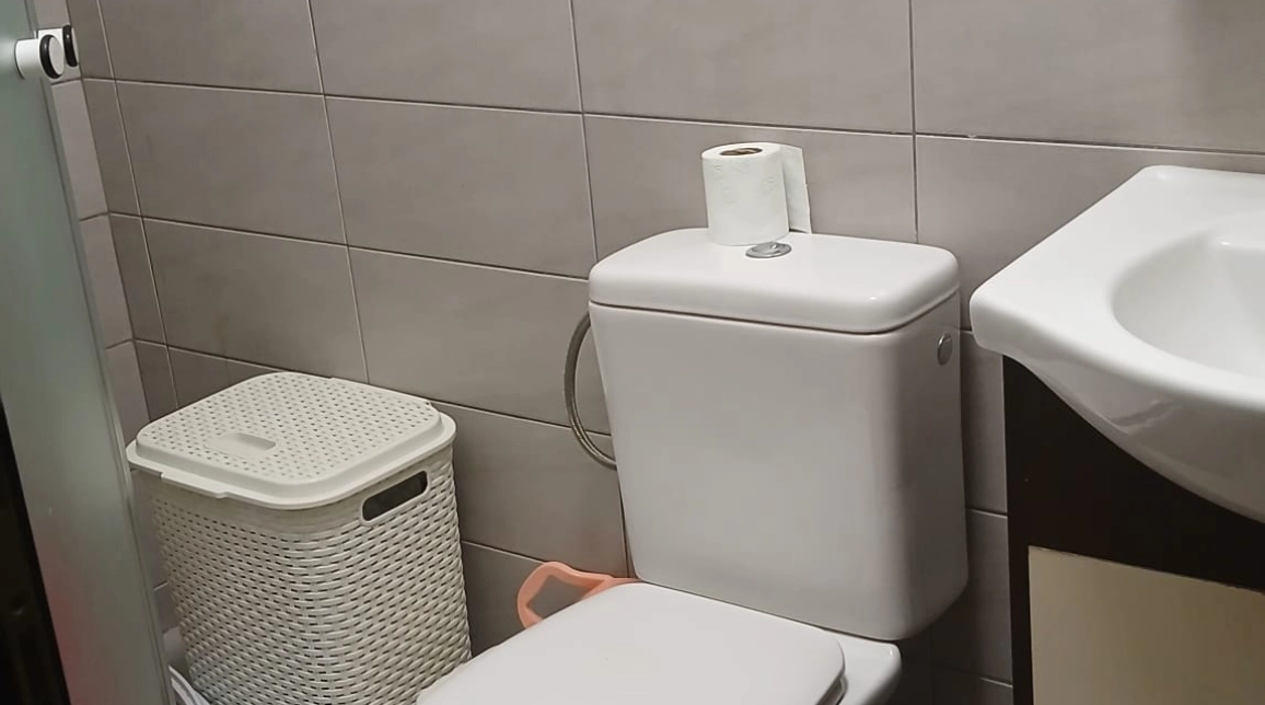 Oferta De vanzare apartament, 1 camera, decomandat, 30 mp, Galata,  Panoramic imagine 5