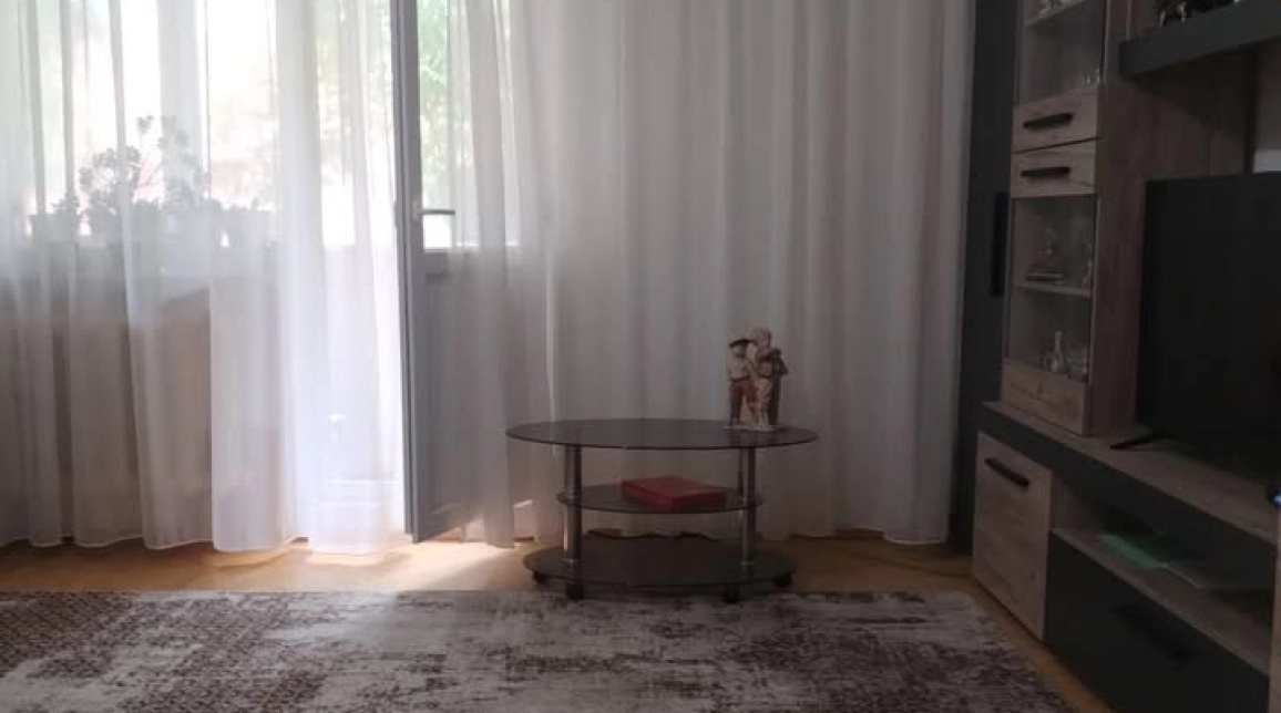 Oferta De vanzare apartament, 1 camera, decomandat, 40 mp, Oancea,  La Doi Pasi imagine 3