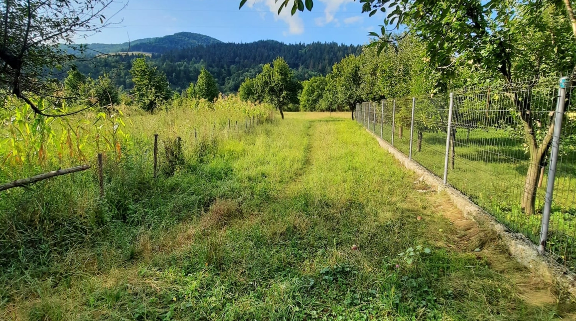 Oferta Teren de vanzare Alexandru cel bun (Jud. Neamt) Vadurele 2991 mp  imagine 2