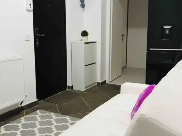 Apartament de inchiriat, 1 camera,  decomandat,  38 mp, Baza 3,  (Silk District) 162190