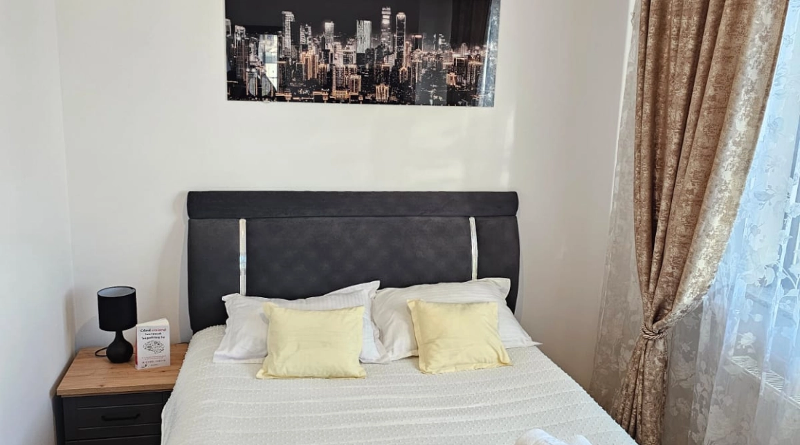 Oferta Pacurari apartament 50 mp, 2 camere, open-space, de inchiriat,  Petru Poni imagine 2