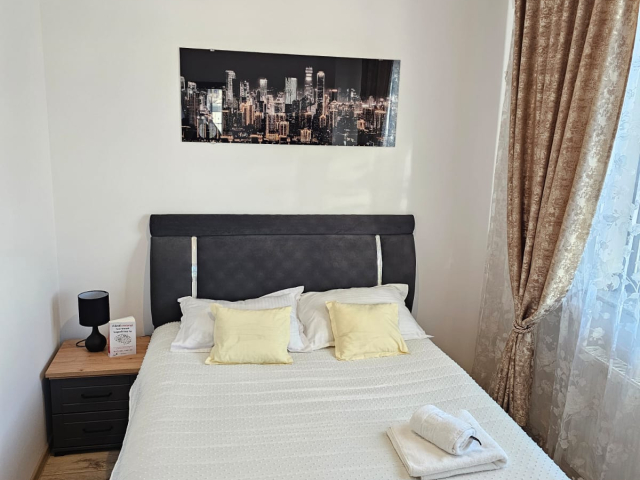 Pacurari apartament  50 mp, 2 camere,  open-space, de inchiriat,  (Petru Poni) 162524