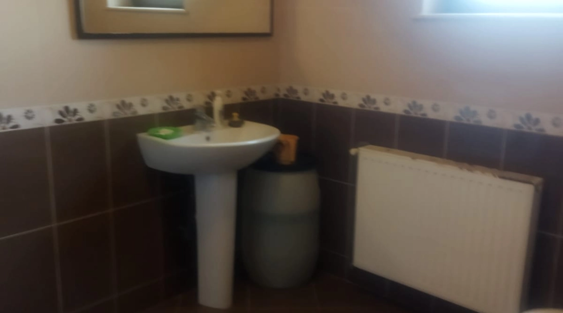 Oferta De vanzare casa, 9 camere, 400 mp, Bucium,  dupa scoala Veronica Micle imagine 5