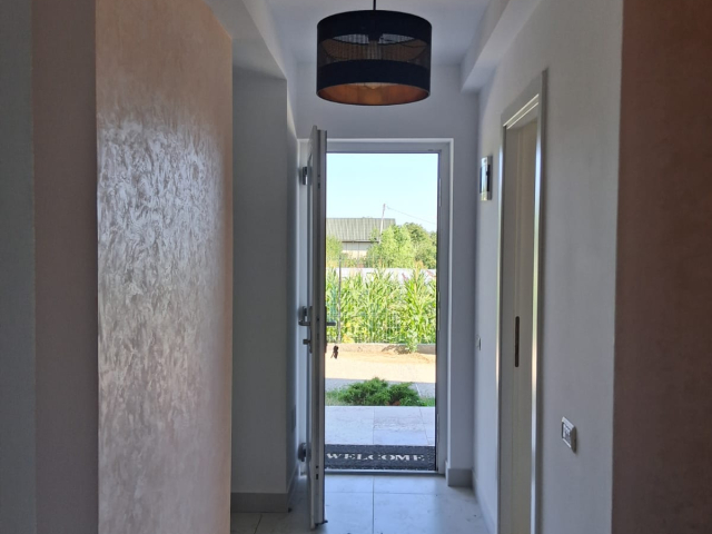 De vanzare vila, 4 camere,  100mp, Visani,  (dupa TLT la strada principala) 163047