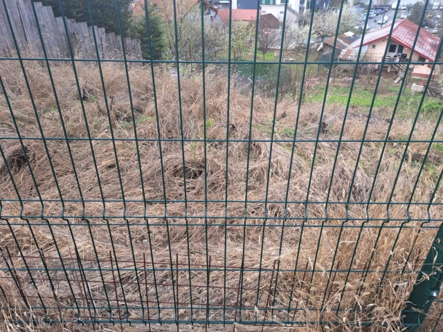 Apartament 0 camere - Tatarasi